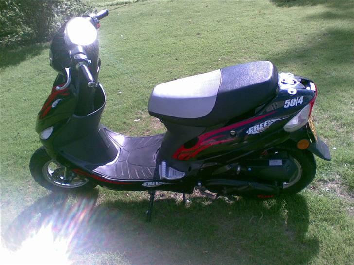 Texas free 50/4 hverdags ged - billedet taget d. 16/08/2008  fra den anden side billede 7