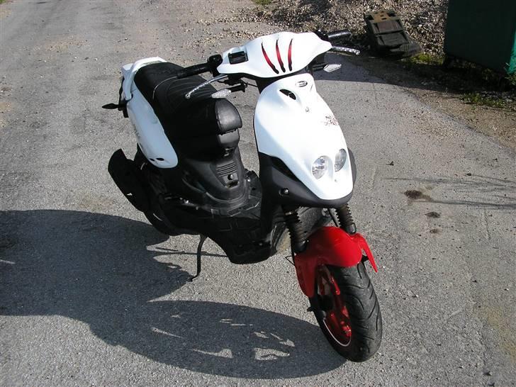 PGO no fear billede 4