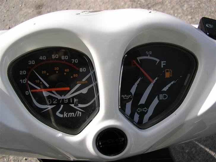 PGO no fear billede 6