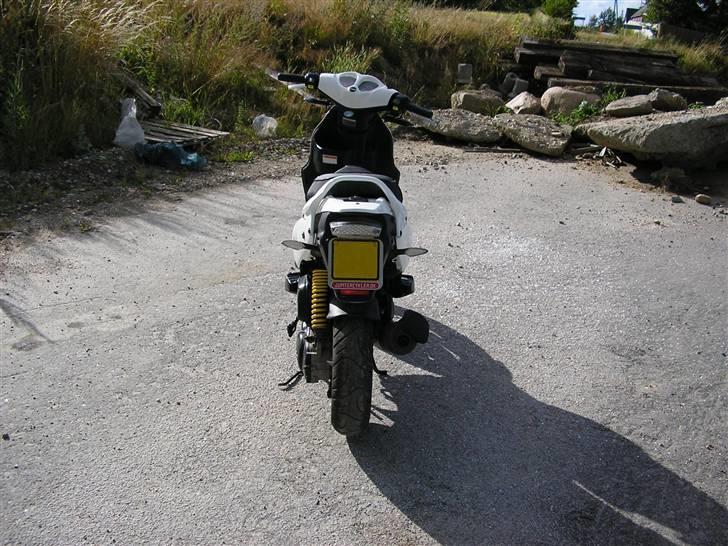 PGO no fear billede 10