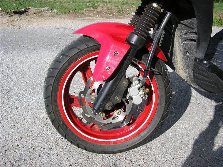 PGO no fear billede 11