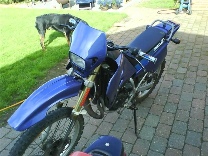 Suzuki RMX #reloaded# billede 6