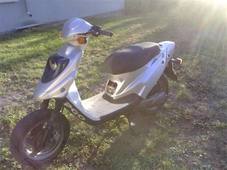 PGO Hot 50 (Byttet til Neos) billede 1