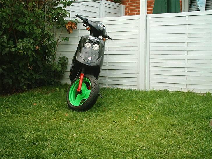 Adly Cat 50 SOLGT billede 2