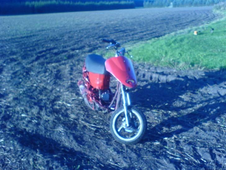 Giantco sprint (markracer)solgt!! billede 1