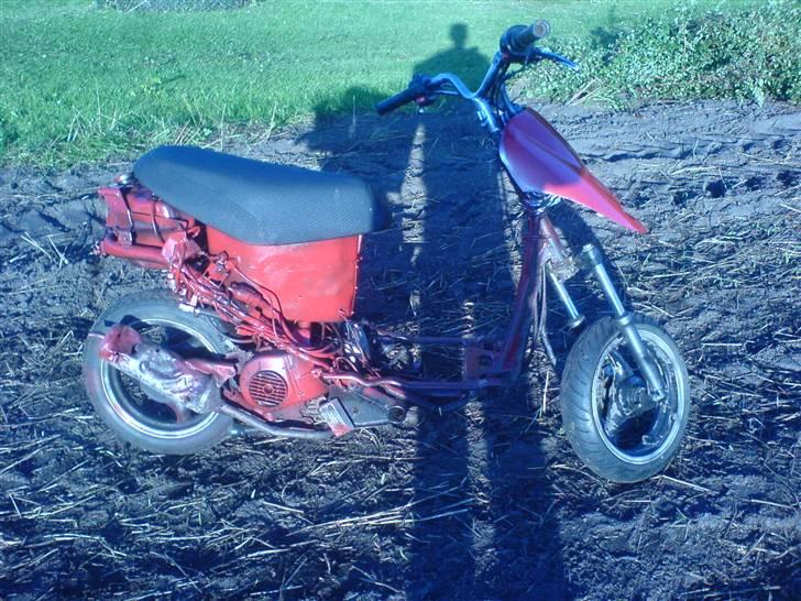 Giantco sprint (markracer)solgt!! billede 13