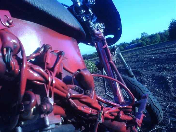 Giantco sprint (markracer)solgt!! billede 14