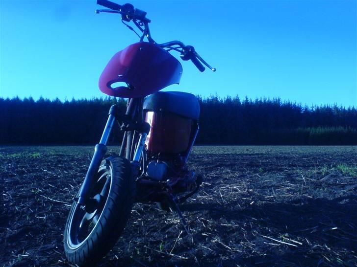 Giantco sprint (markracer)solgt!! billede 15