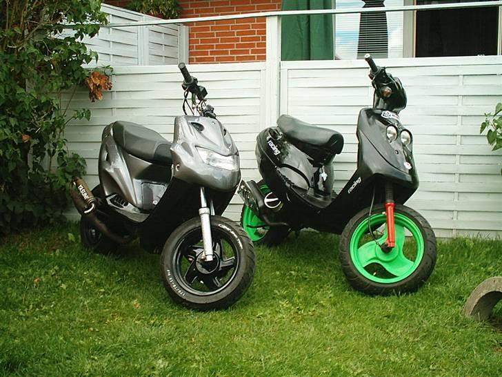 Adly Cat 50 SOLGT - lige et sammen med brormands pop billede 14