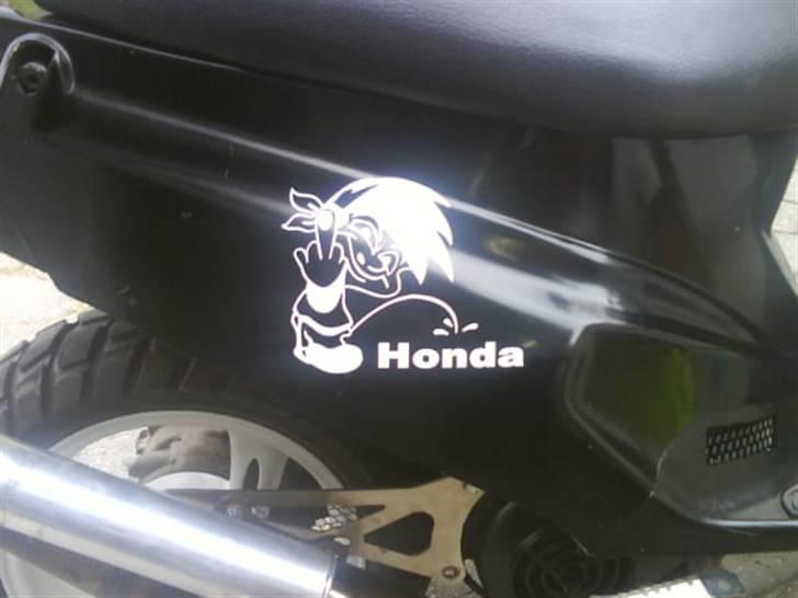 PGO Hot 50  BYTTET billede 10