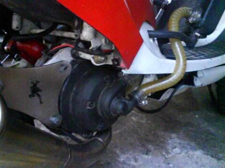 PGO hot Lc pata negra (Solgt) billede 1