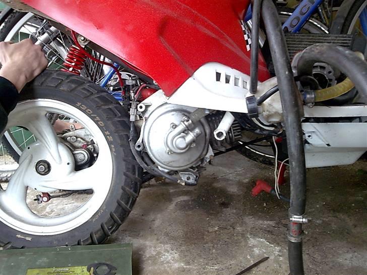 PGO hot Lc pata negra (Solgt) billede 3