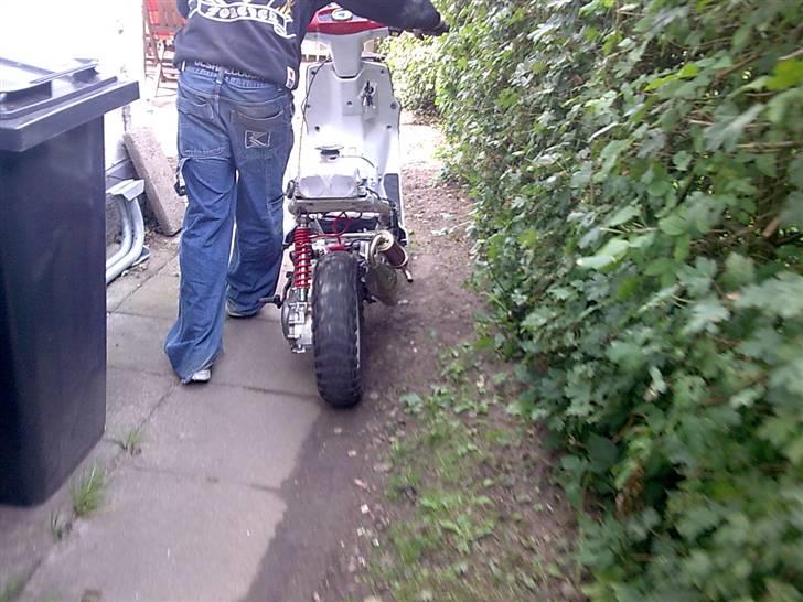 PGO hot Lc pata negra (Solgt) billede 5