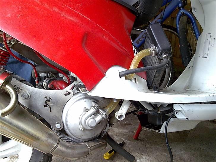 PGO hot Lc pata negra (Solgt) billede 10