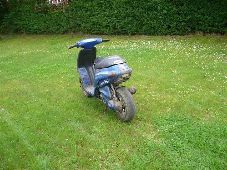 Piaggio typhoon skraldet  billede 3