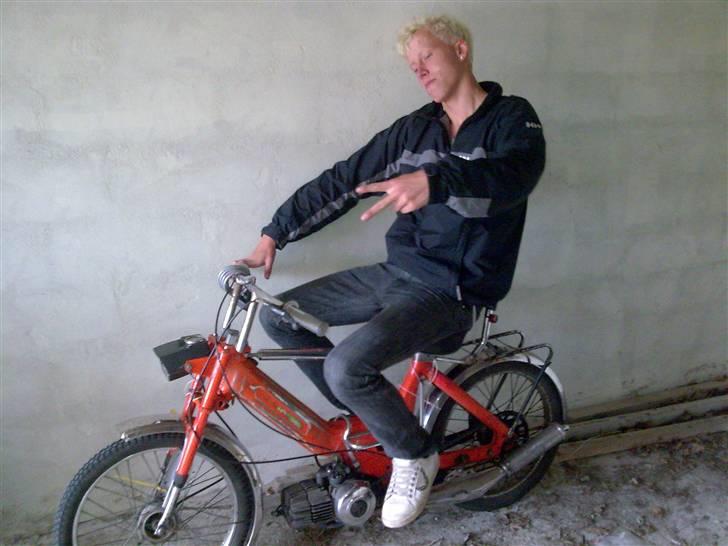 Puch Maxi k billede 13