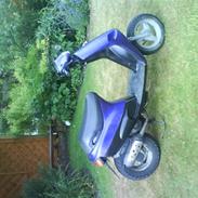 Piaggio zip (projekt)