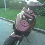 PGO hot taget af panserne /: