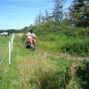 KTM SX 125cc SOLGT !