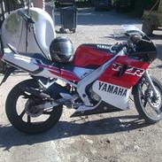 Yamaha tzr