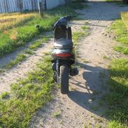 Suzuki Estilete SÆLGES