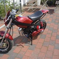 Suzuki                                            Street 