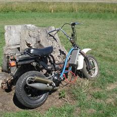 Suzuki Fz/rally SOLGT!