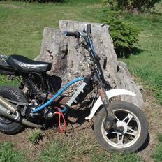 Suzuki Fz/rally SOLGT!