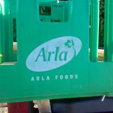 Suzuki fz50 byttet til hot50