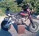 Moff Moff bullet Motard