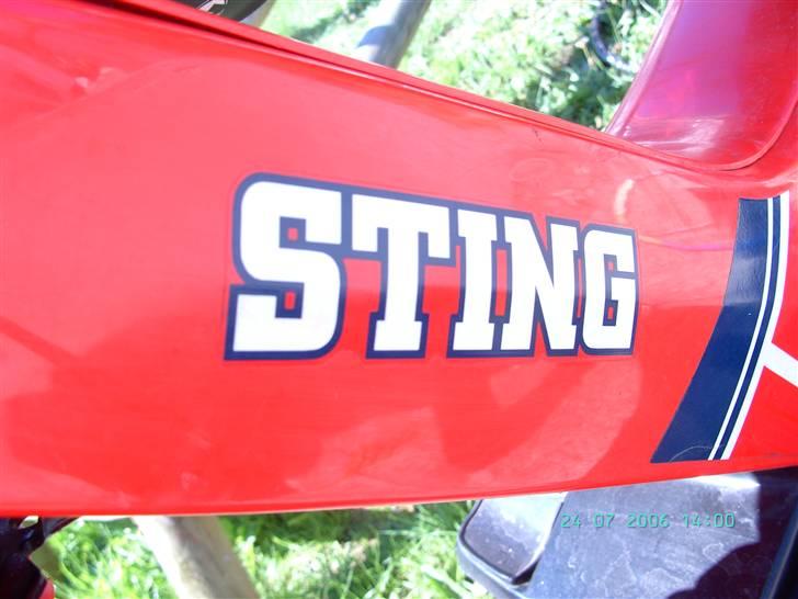 Yamaha Sting SG50 billede 1