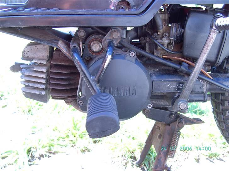 Yamaha Sting SG50 billede 3