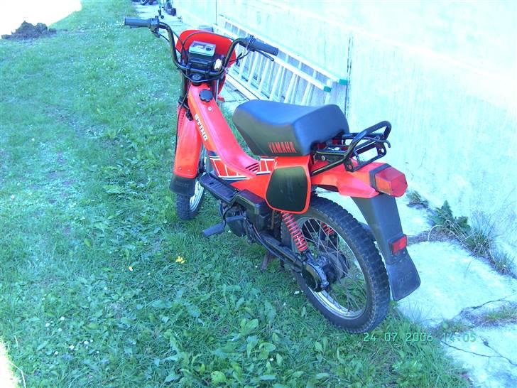 Yamaha Sting SG50 billede 5