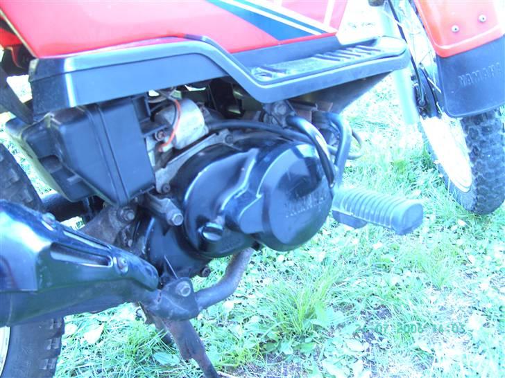 Yamaha Sting SG50 billede 6