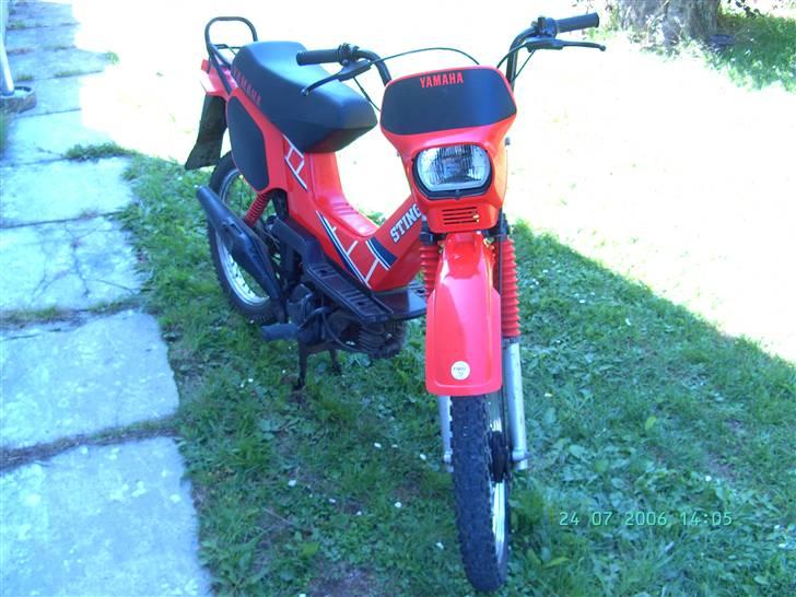 Yamaha Sting SG50 billede 8