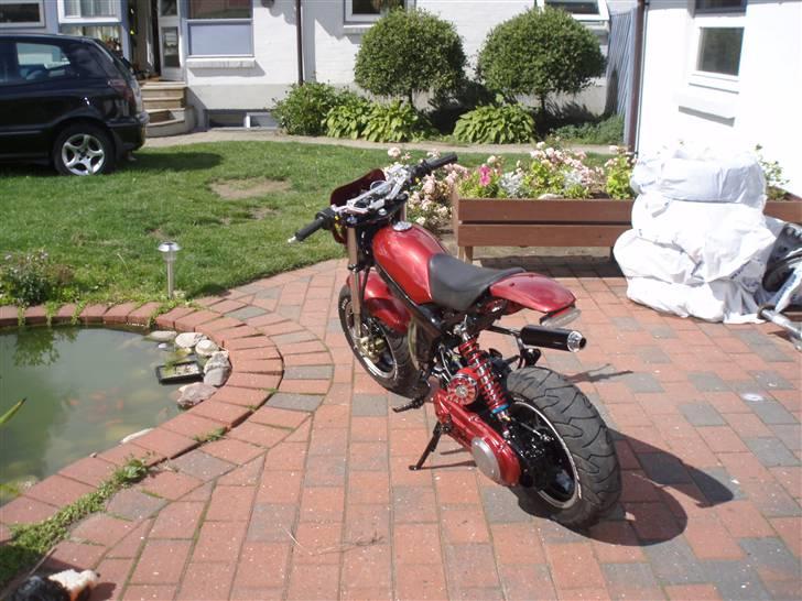 Suzuki                                            Street  billede 10