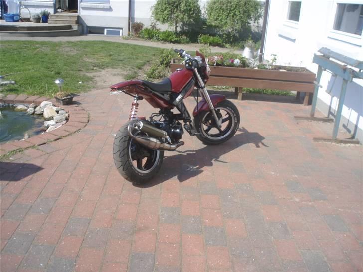 Suzuki                                            Street  billede 12
