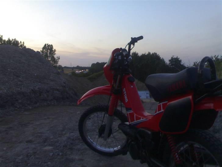 Yamaha Sting SG50 billede 10