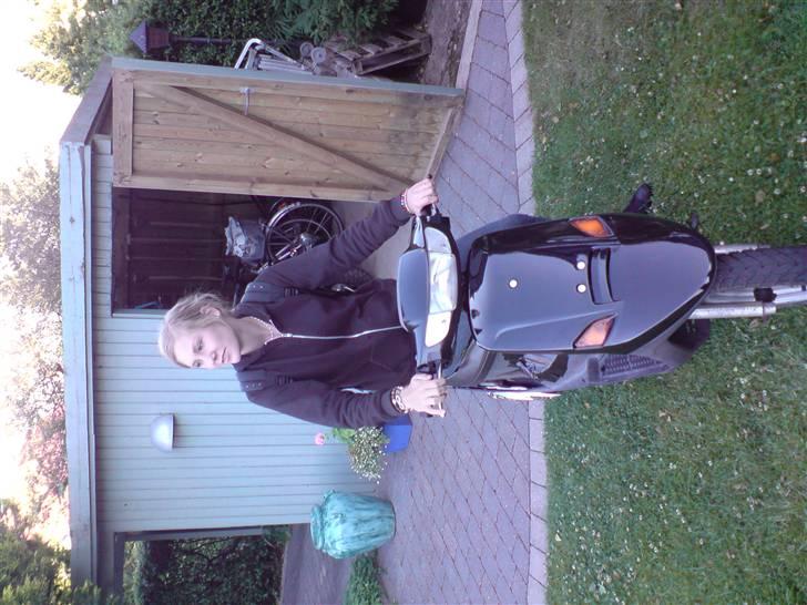 PGO Comet billede 20