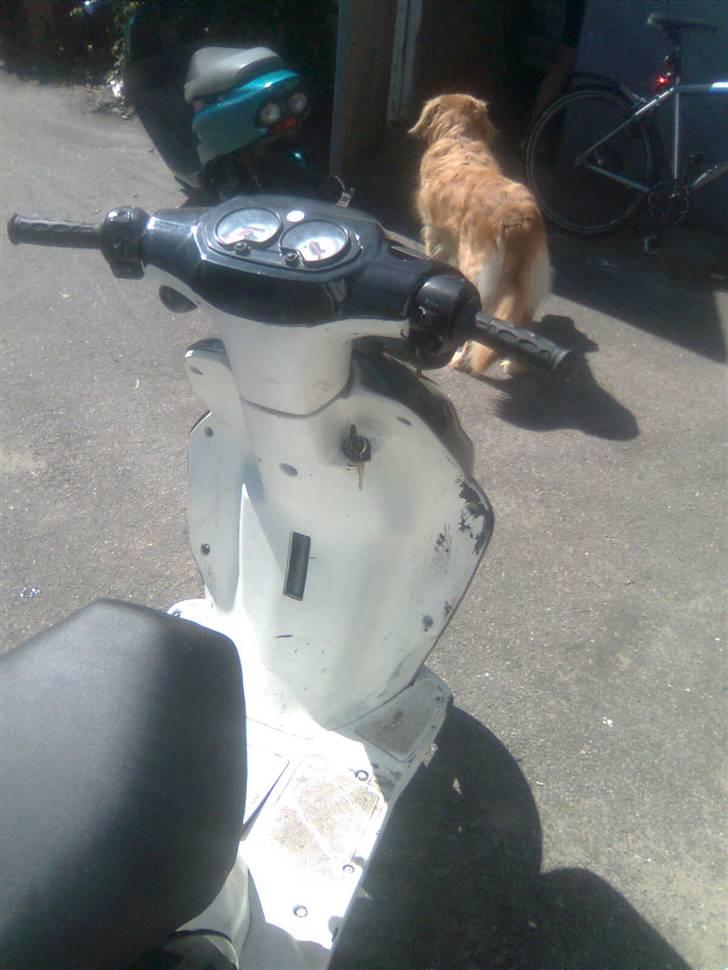 CPI Oliver City (SOLGT) billede 8