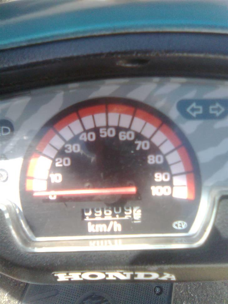 Honda SFX (BYTTET) billede 8