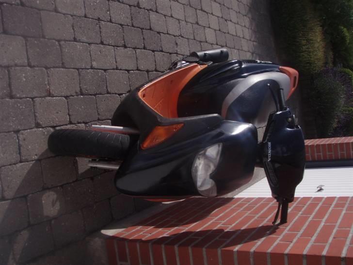 Honda SFX - SOLGT billede 6