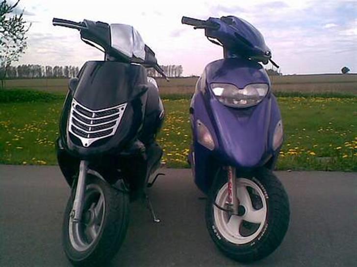 Honda Sfx - De er bare Dejlige..! billede 8
