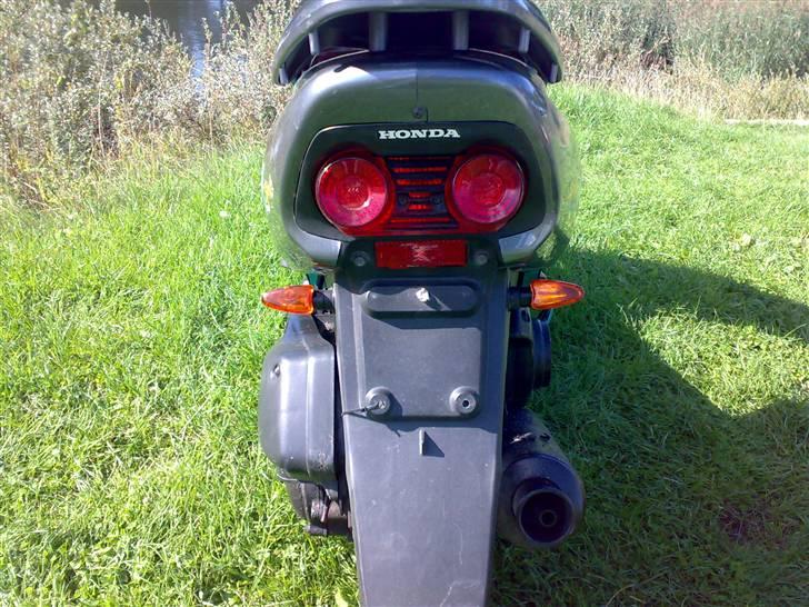 Honda SFX SOLGT !!! billede 7