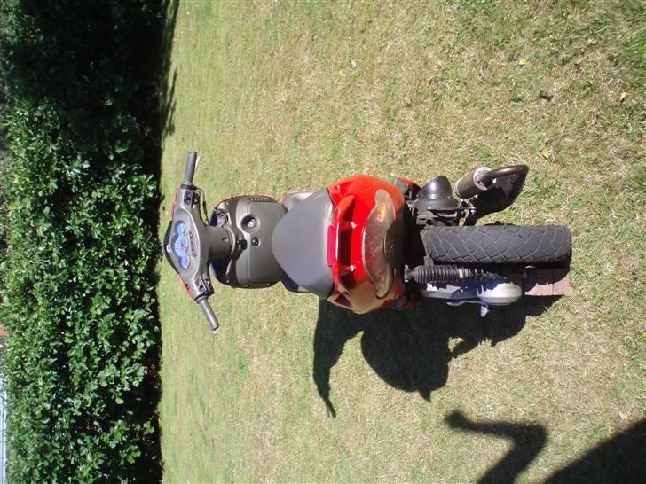 Aprilia sonic billede 8