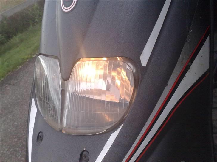 Gilera stalker byttet billede 1