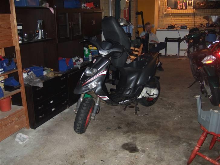 Gilera stalker byttet billede 2