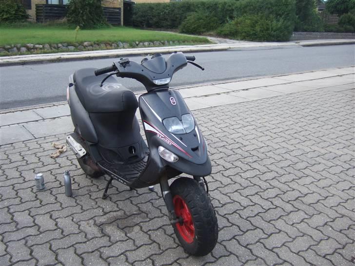 Gilera stalker byttet billede 3