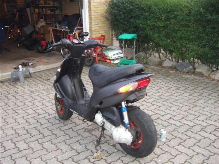 Gilera stalker byttet billede 6
