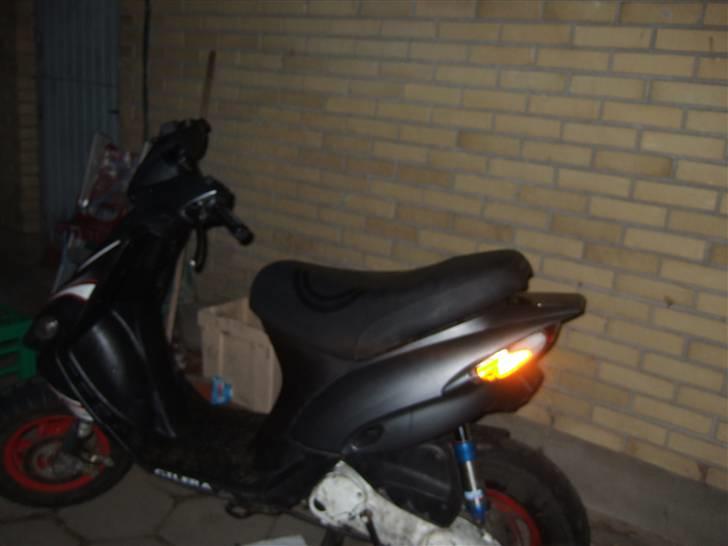 Gilera stalker byttet billede 9